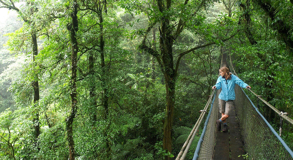 costa rica monteverde rainforest